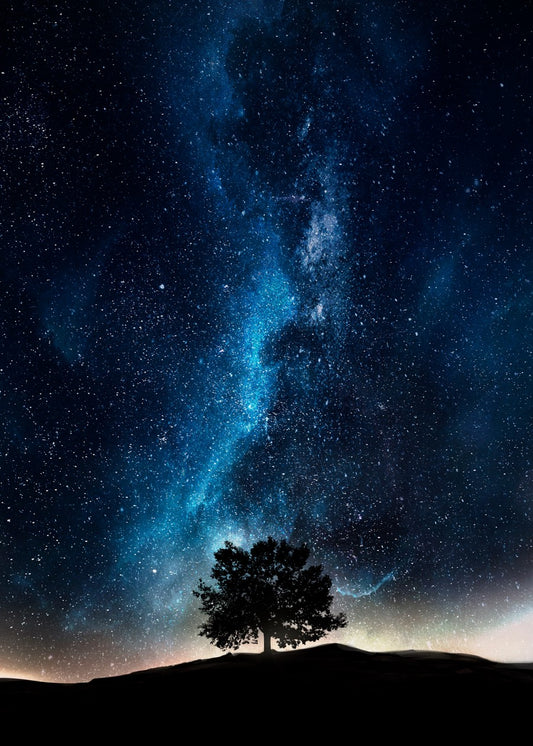Night cosmic tree