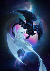 Night and Light Fury