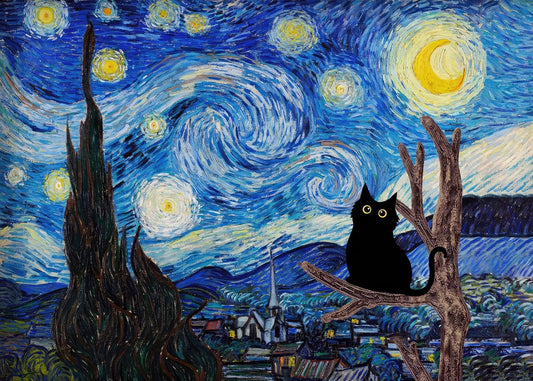 Black Fat cat Starry night 