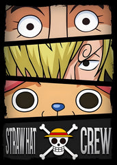 Straw hat Crew, One Piece