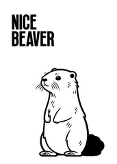 Nice Beaver