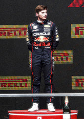 Max Verstappen Winning Pose