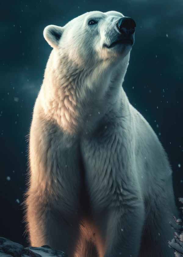 Polar Bear