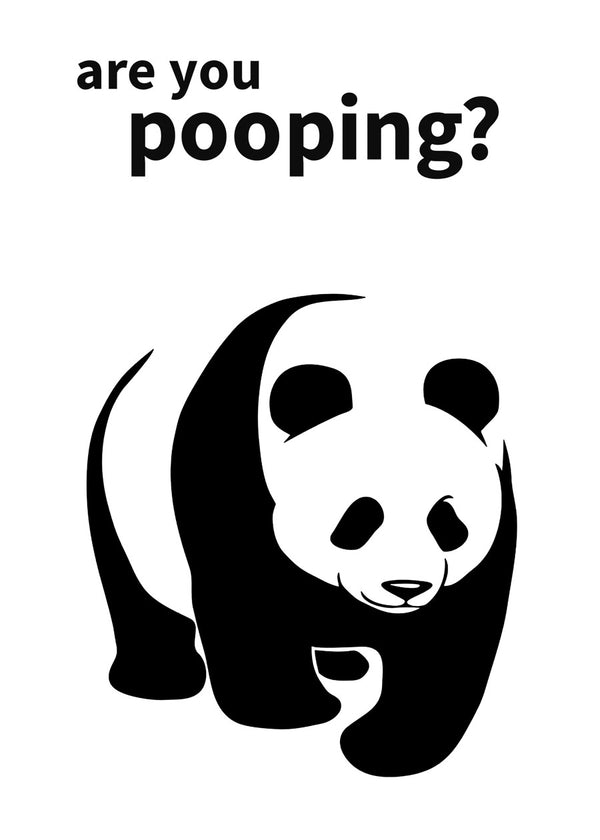 Panda funny