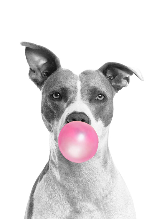 Dog Bubblegum