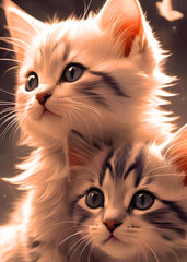 Cute kitten