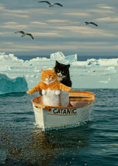 Jack, I'm... Freezing