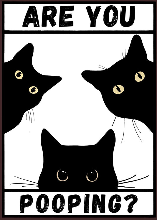 Black Cat Are You Pooping Black and White