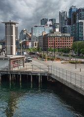 Seattle's Stormy Embrace