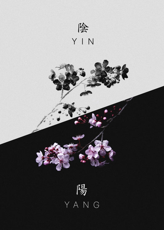 Duality in Bloom