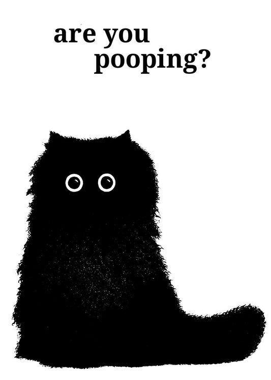 Funny quotes 