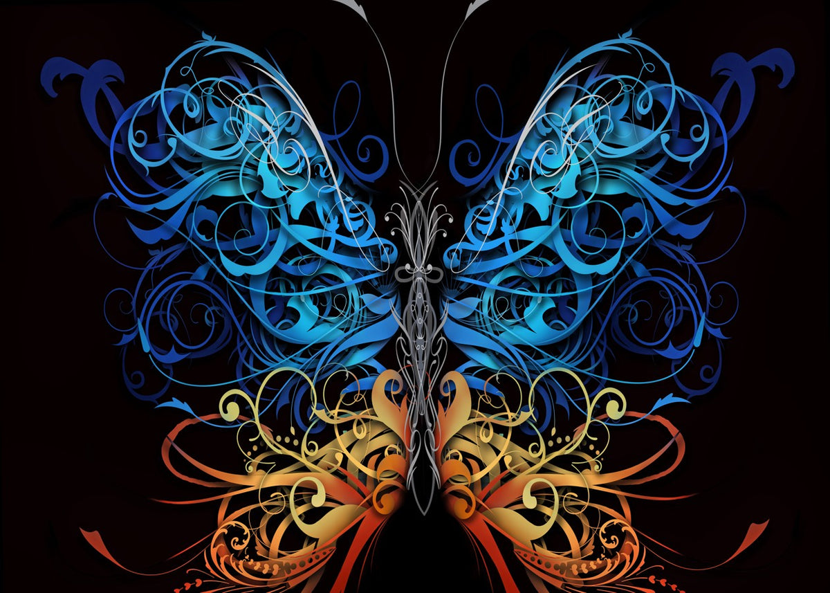 A vibrant colorful butterfly