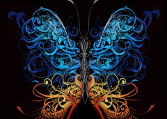 A vibrant colorful butterfly