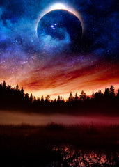 Eclipse Over The Forest 
