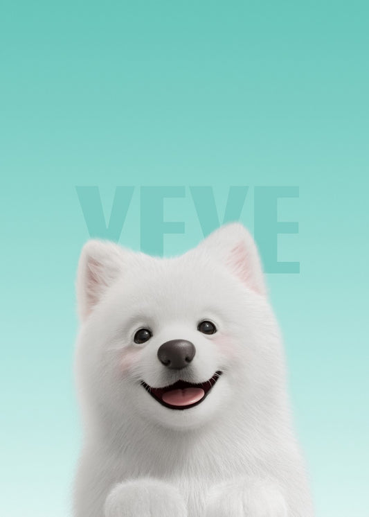 Samoyed Cute dog