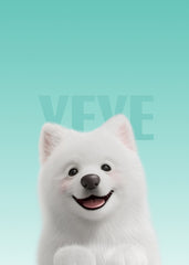 Samoyed Cute dog