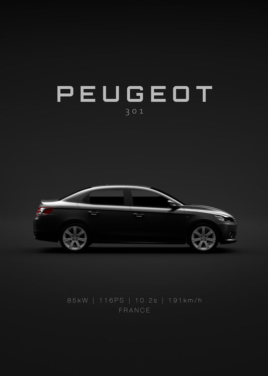 2013 Peugeot 301
