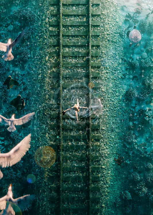 Drowned Tracks, Soaring Dreams