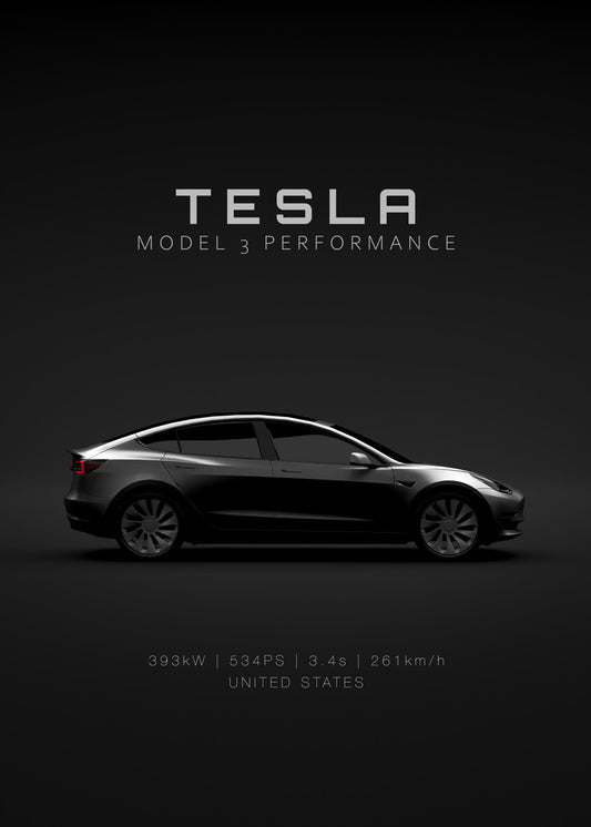 Tesla Model 3 Performance 2022