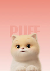 Cute cat puff