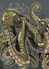 Kraken 