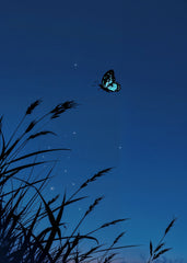 Cute Butterfly, Magical Night 