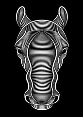 Graceful Horse Head in Profile