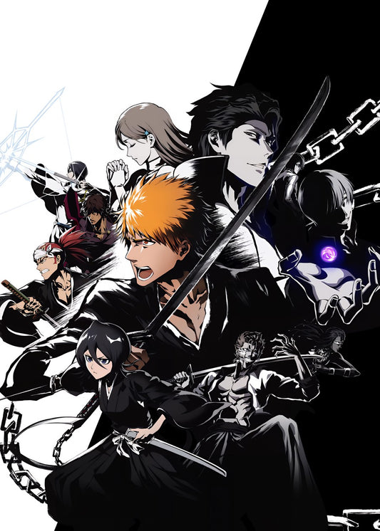 Bleach Soul Reaper Saga