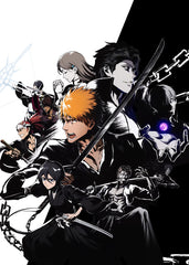 Bleach Soul Reaper Saga