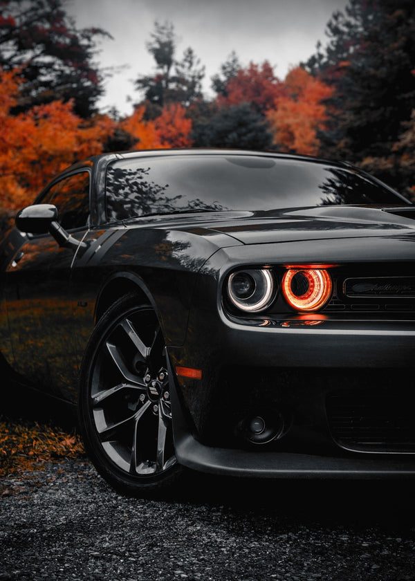 Dodge Orange Autumn