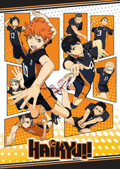 Karasuno High's Dynamic Play