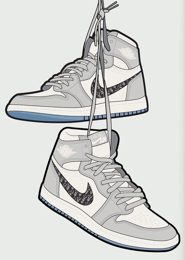 Nike Dior air shoes