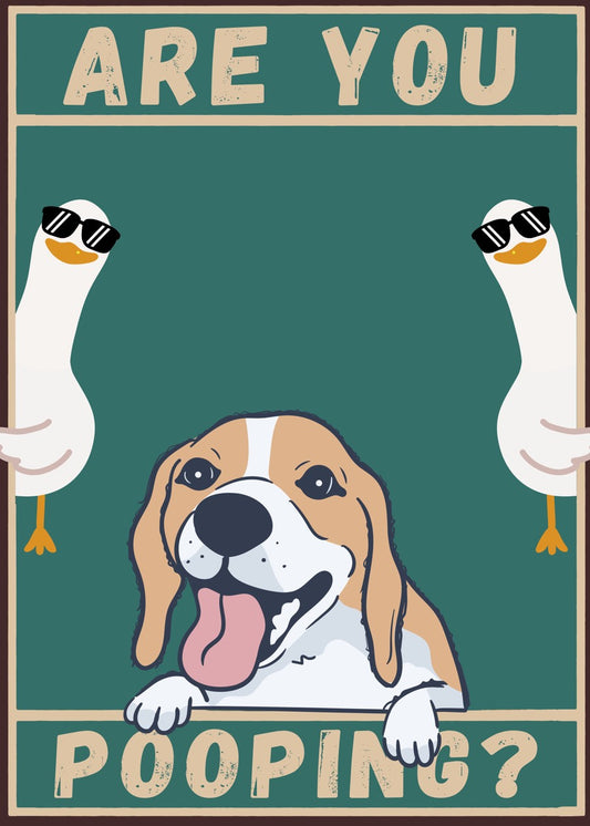 Dog and Duck are you pooping?