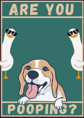 Dog and Duck are you pooping?
