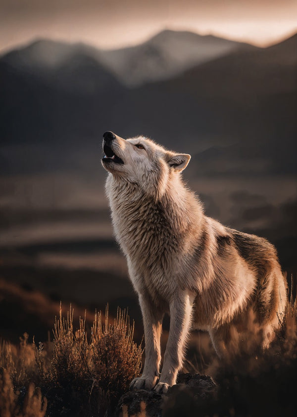Howling Wolf at Dusk