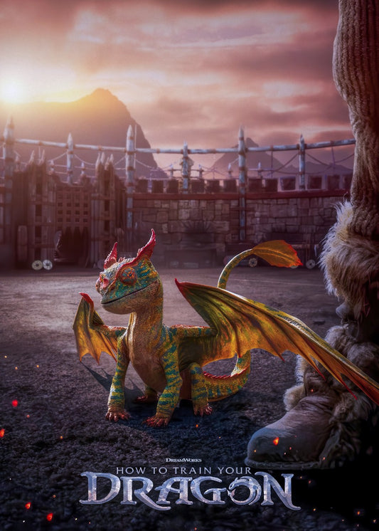 How to Train Your Dragon