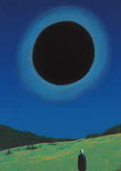 Field of the Black Sun