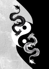 Dragon Yin Yang