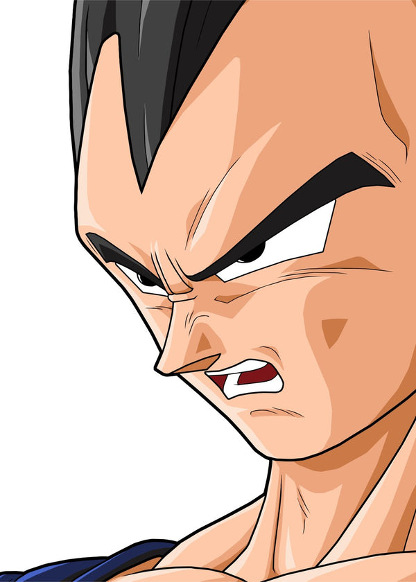 Vegeta DragonballZ