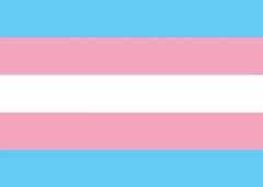 Transgender Pride Flag
