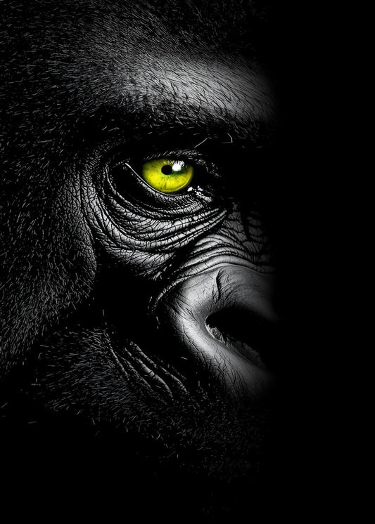 Crimson Gaze of the Dark King