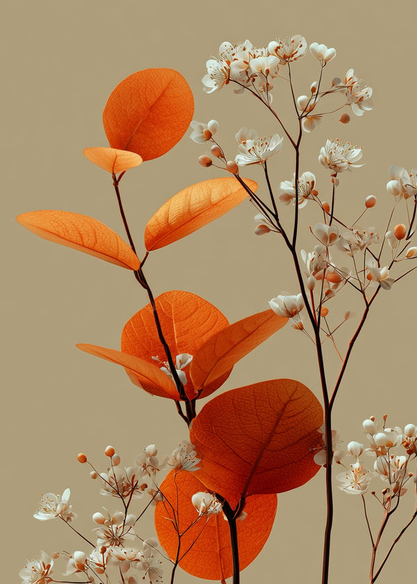 White flowers and orange leaves minimalism