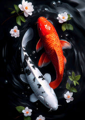 Red and white koi