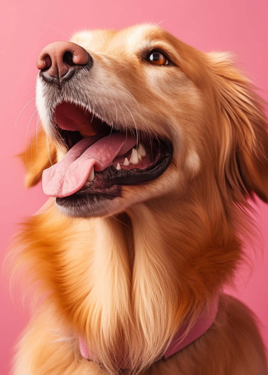 Say 'Cheese'... or 'Bacon!