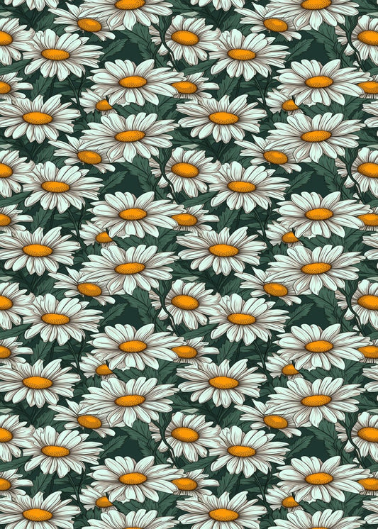 Bright Flowery Daisy