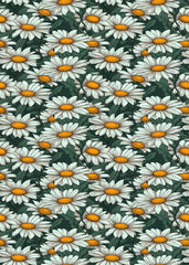 Bright Flowery Daisy