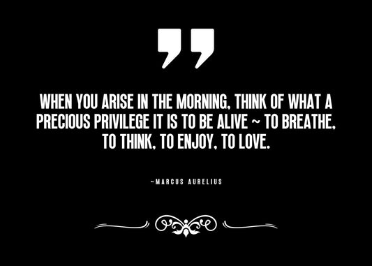 Marcus Aurelius Quote