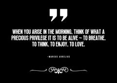 Marcus Aurelius Quote