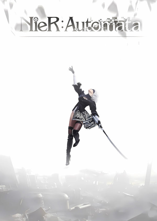 NieR automata