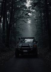 Hummer H2 Forest Road